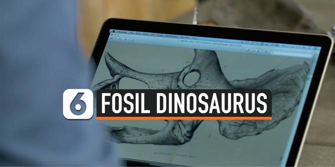 VIDEO: Fosil Dinosaurus Berusia 67 Juta Tahun Paling Utuh di Dunia