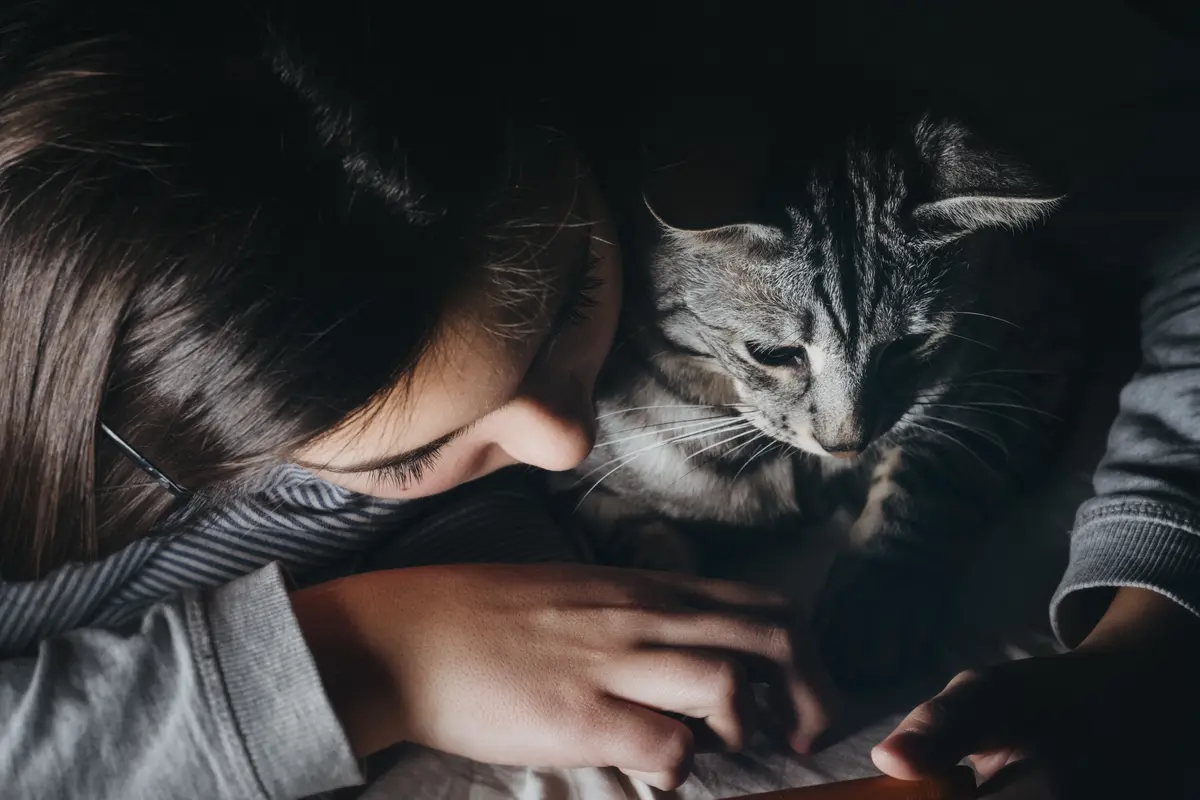Jenis kucing peliharaan