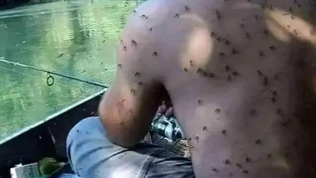 10 Potret Absurd Orang Saat Mancing, Enggak Bakal Dapat Ikan