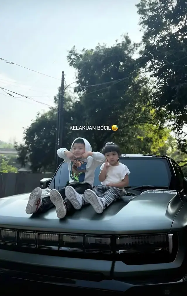 Dijuluki raja minyak, 6 koleksi mobil mewah Haldy Sabri suami Irish Bella ini ditaksir miliaran