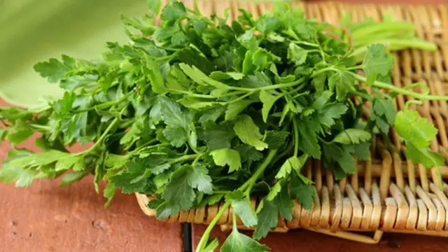 Foto: copyright thinkstockphotos.com