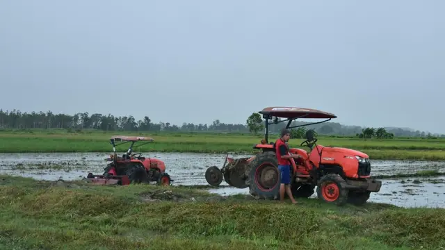 Lahan pertanian di Merauke