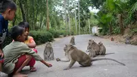 Cerita Santri Nakal Dikutuk Jadi Monyet