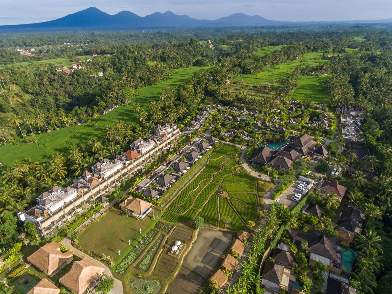Suasana Desa Visesa Ubud (Foto: Dok Visesa)