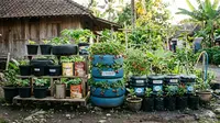 9 Konsep Kebun Buah Mini Low Budget dari Barang Bekas Kreatif: Solusi Lahan Sempit di Desa
