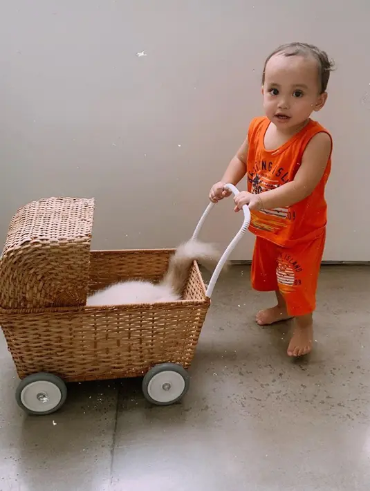 Tingkah lucu Biru sering diupload di akun Instagram milik Rachel. Seperti yang satu ini, Biru terlihat mengenakan baju setelan berwrna orange sambil membawa dorongan yang berisi kucing. (Liputan6.com/IG/rachelvennya)