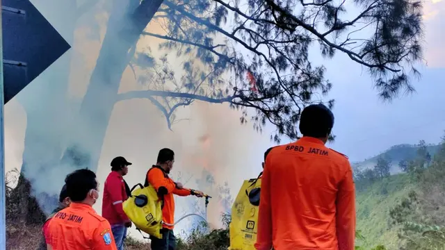 Kebakaran kembali melanda kawasan Gunung Bromo. (Istimewa)