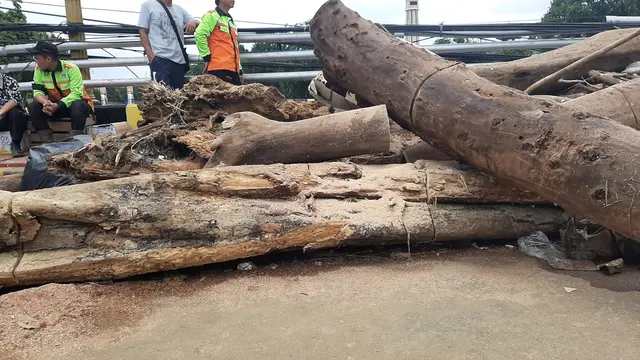 Penampakan sampah kayu di Kali Ciliwung. (Liputan6.com/Yopi Makdori)