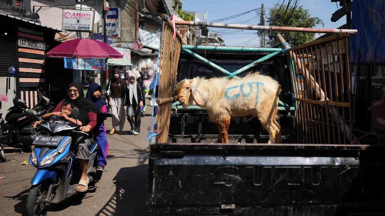Kementan Pastikan Stok Hewan Kurban Idul Adha 2026 Aman