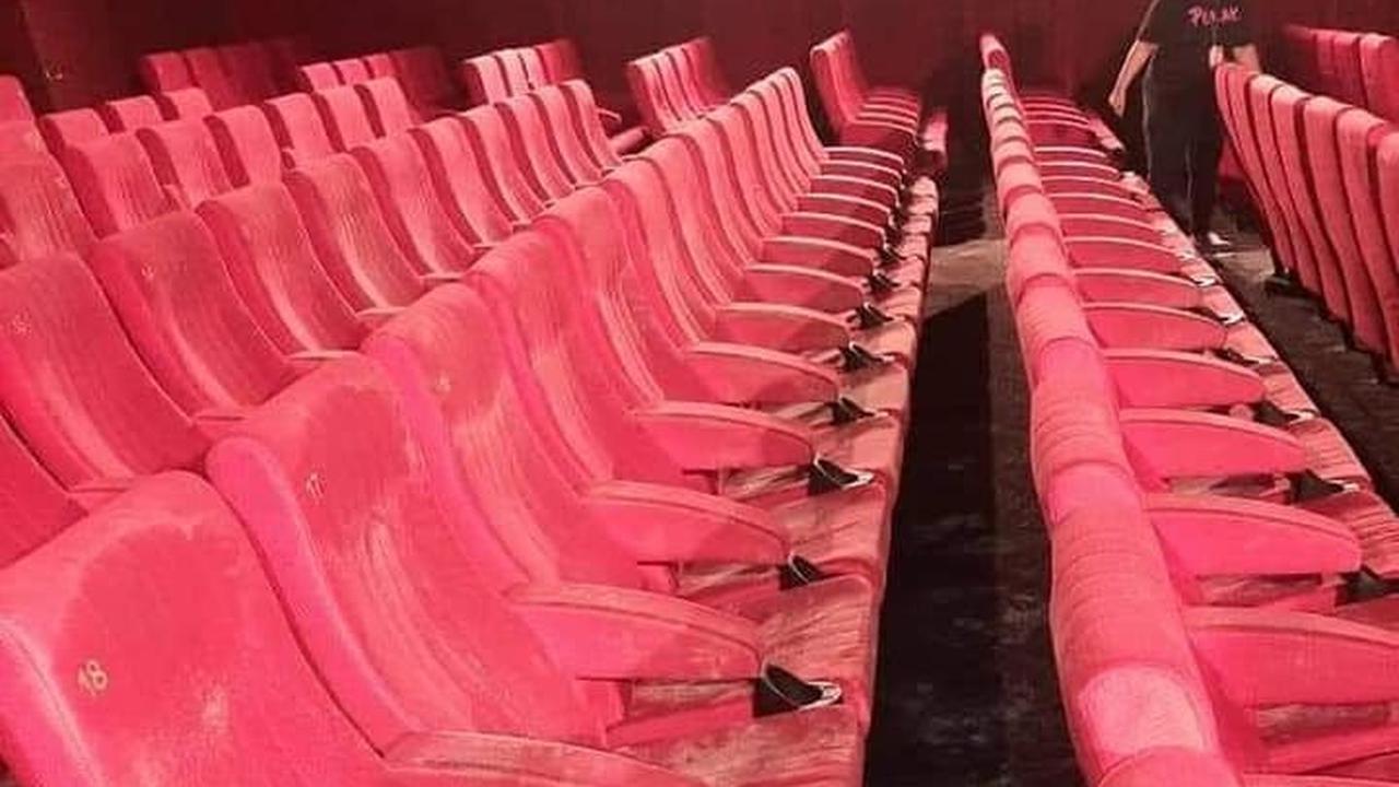 Akibat Lockdown, Potret Kursi Bioskop Dipenuhi Jamur Viral