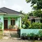 Cat Rumah Anti Panas Hijau Mint (Minty Green) (Foto:AI)