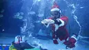 Seorang penyelam berpakaian Sinterklas tampil pada acara untuk mempromosikan liburan Natal di Coex Aquarium, Seoul, Korea Selatan, Jumat (3/12/2021). Natal adalah salah satu hari libur terbesar yang dirayakan di Korea Selatan. (AP Photo/Ahn Young-joon)