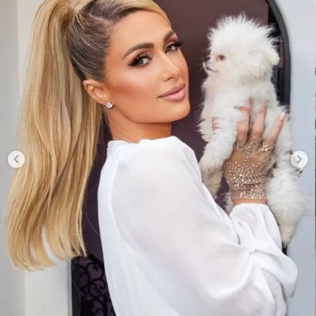 Gelar Acara Makan Siang Jelang Nikah, Paris Hilton Pakai Gaun dari Tisu Toilet