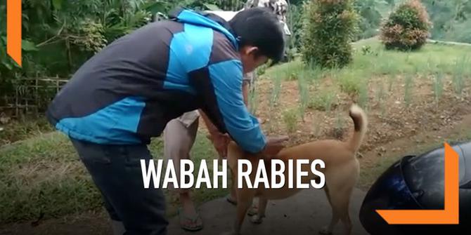 VIDEO: Khawatir Rabies, Anjing dan Kucing Bandung di Vaksinasi