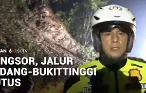 Longsor di Lembah Anai, Batu Besar Tutup Jalur Padang-Bukittinggi