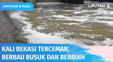 Kali Bekasi yang biasanya jernih kini berubah warna menjadi keruh kecokelatan dan mengeluarkan busa hingga bau menyengat. Diduga busa putih berasal dari limbah industri. Warga yang tinggal di bantaran kali merasa terganggu dengan bau menyengat.