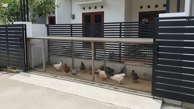 6 Desain Pagar Rumah yang Sekaligus Jadi Kandang Ayam, Cocok buat Lahan Terbatas