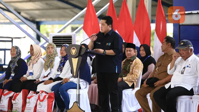 Menteri BUMN Erick Thohir (Liputan6.com/Fauzan)
