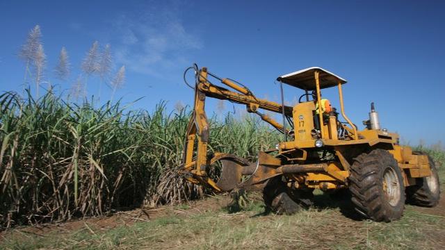 PG Rajawali Cirebon Pastikan Produksi Gula Tetap Jalan Imbas Bentrok Berdarah di Lahan Tebu