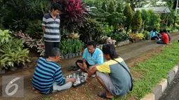 Pedagang tanaman hias bermain catur sambil menunggu pembeli di lokasi penjualan tanaman hias, Kompleks GBK, Jakarta, Rabu (8/2). Pedagang berharap pemerintah dan pengelola bisa mewadahi sarana publikasi mereka. (Liputan6.com/Gempur M. Surya)