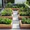 Layout Raised Bed Modular (Kotak Tanam Terangkat). Foto: Gemini