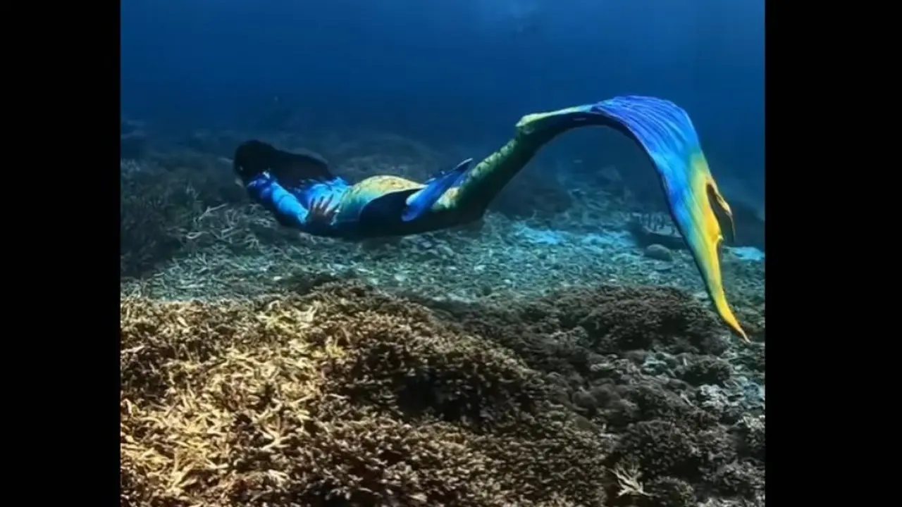Pakai Kostum Duyung, Gubernur Sherly Tjoanda Unjuk Skill Menyelam dan Keindahan Pantai Maluku Utara.  foto: TiiikTok @sherlytjoanda