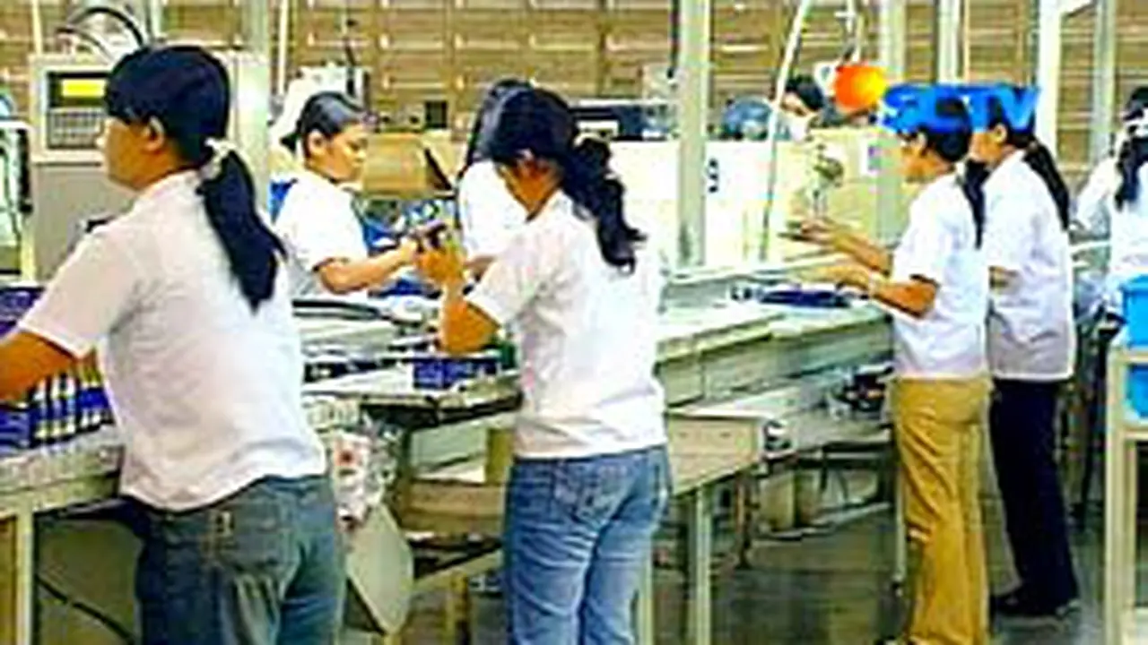 080606bobatnyamuk.jpg
