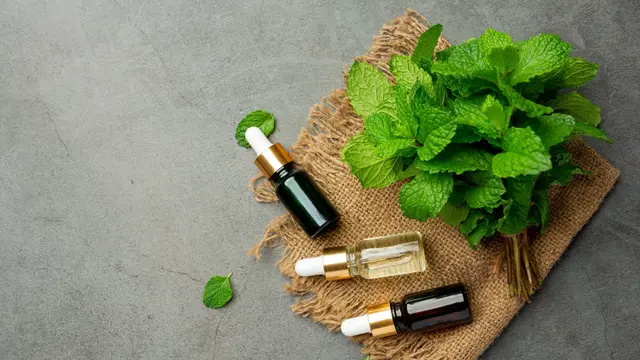 Minyak Peppermint