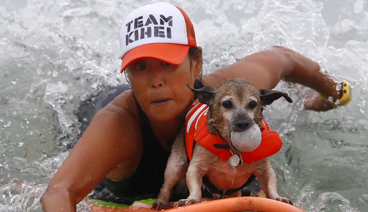 Jill Nakano berselancar dengan anjingnya, Kihei ketika mengikuti kompetisi surfing anjing Petco Unleashed ke-10 di pantai Imperial, California, 1 Agustus 2015. (REUTERS/Mike Blake)