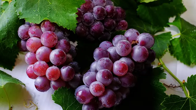 mitos paling umum tentang waktu makan buah