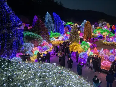Gambar yang diambil 11 Januari 2020, pengunjung melihat tampilan beragam kerlip lampu di Garden of Morning Calm, sebelah timur Seoul di distrik Gapyeong, Korea Selatan. Festival cahaya tahunan tersebut dinikmati saat musim dingin, Desember sampai akhir bulan Maret. (Ed JONES / AFP)