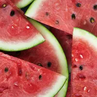 Ilustrasi semangka/Copyright Freepik/rawpixel.com