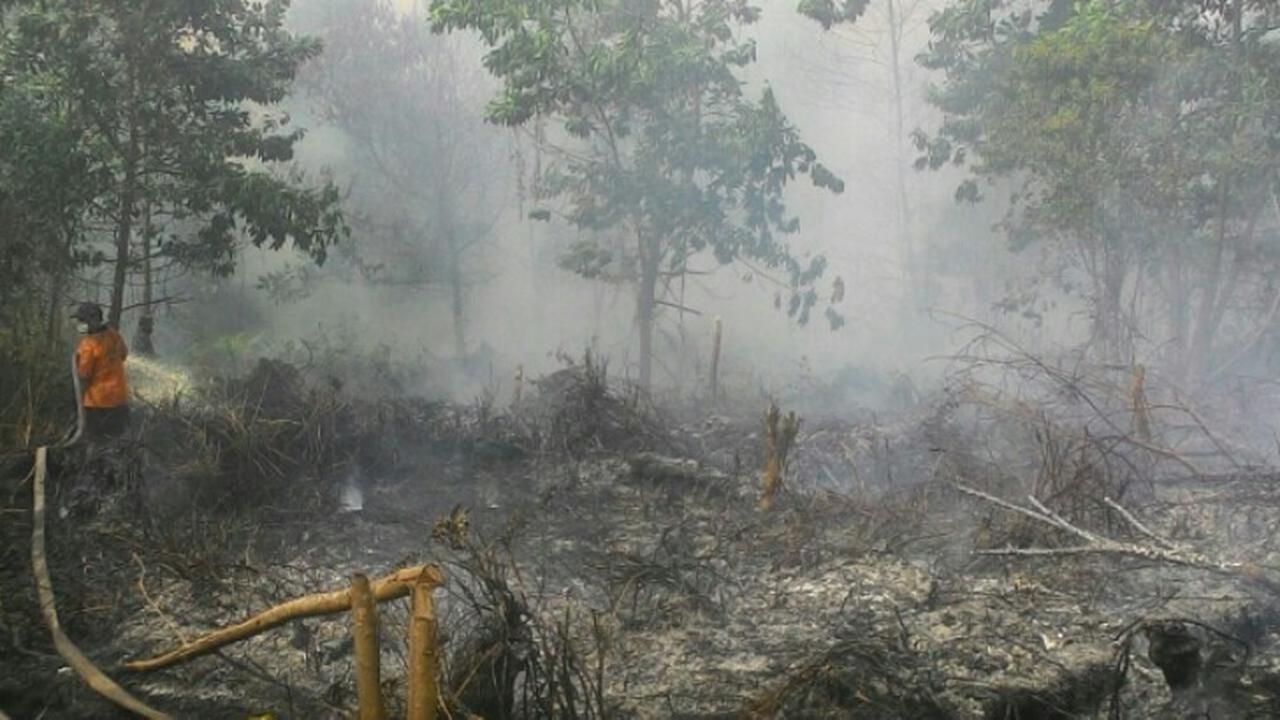 kebakaran hutan riau