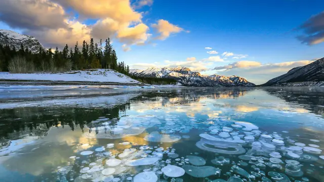 Abraham Lake