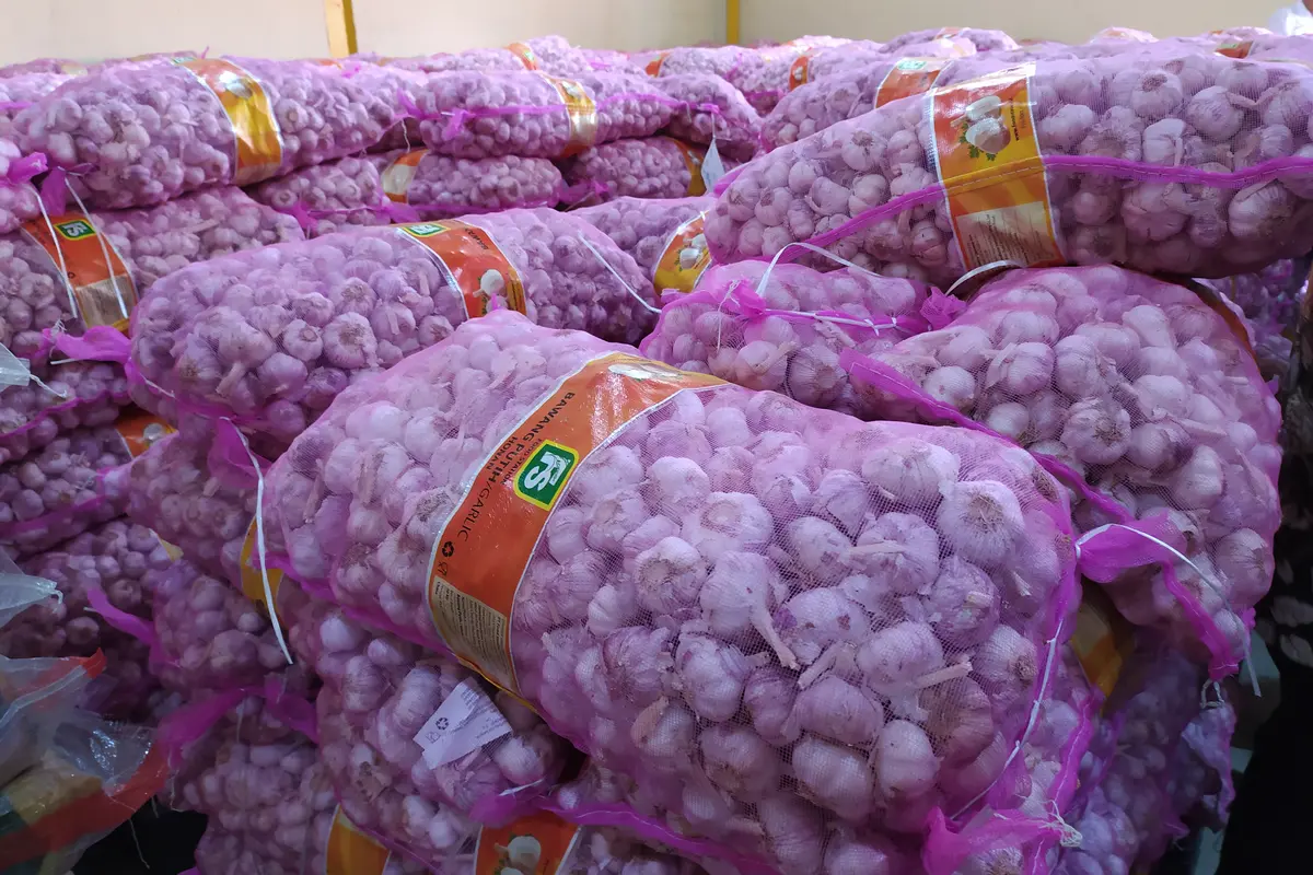 Bawang Putih