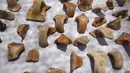 Pecahan keramik berupa stempel bertuliskan huruf Ibrani kuno yang ditemukan di sebuah situs penggalian di Yerusalem (22/7/2020). Tim arkeolog Israel menemukan pusat penyimpanan administratif berusia 2.700 tahun di Yerusalem. (Xinhua/Gil Cohen Magen)
