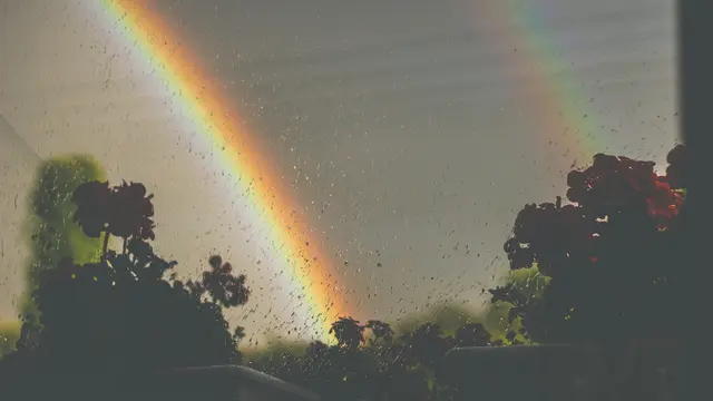 [Bintang] Tarot Hari Ini: Selalu Ada Pelangi Setelah Hujan Reda