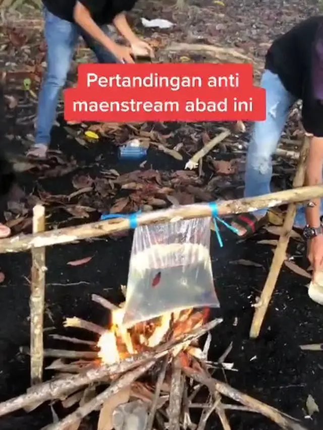 Adu Ikan Cupang di Tiktok, Aksi Dari Remaja Ini Dikecam Warganet