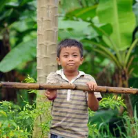 Ilustrasi/copyrightshutterstock/Distinctive Images