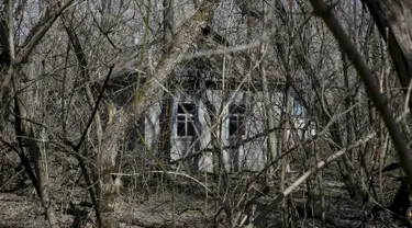 Sebuah rumah terlihat di desa Zalesye yang sudah tidak lagi ditempati oleh pemilikinya di kota Pripyat, dekat pembangkit tenaga nuklir, Ukraina, 28 Maret 2016. (REUTERS/Gleb Garanich)