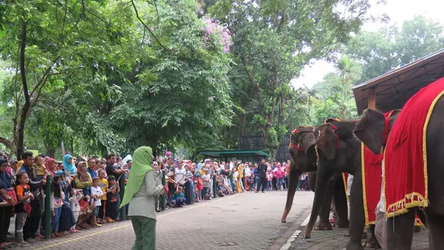 Gajah Sumatera