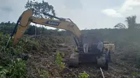 Nasib 2 Orang Perusak Habitat Harimau dan Gajah di Taman Nasional Tesso Nilo
