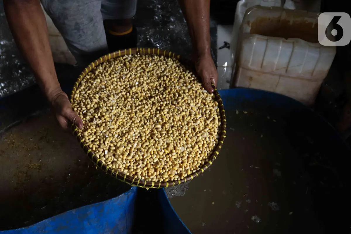Kenaikan Harga Kedelai Berimbas pada Tingginya Harga Tahu di Pasaran