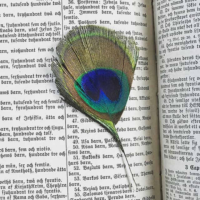 5 Benda Tak Terduga Ini Ditemukan di Buku Bekas