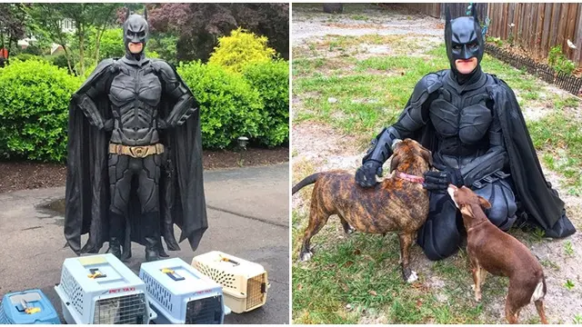 Terobsesi Karakter Superhero, Pria Ini Kenakan Kostum Batman Saat Kegiatan Sosial