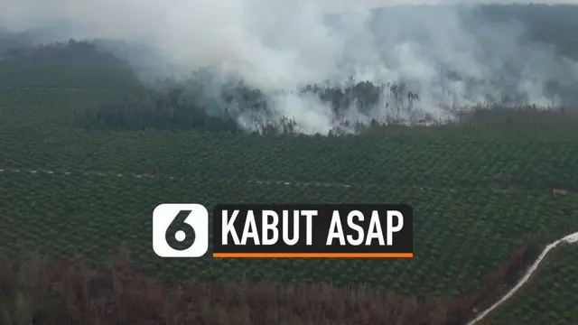 VIDEO: Pantauan Udara Kebakaran Hutan Palangka Raya