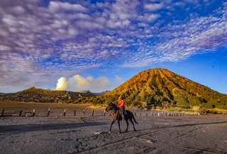 Dengan pesona alam yang terus memukau dari generasi ke generasi, Gunung Bromo tetap menjadi destinasi impian yang wajib dikunjungi setiap pencinta alam dan pelancong yang ingin merasakan keindahan Indonesia secara utuh. Tampak dalam foto, warga Tengger berkuda di Lautan Pasir Bromo, Jawa Timur. (merdeka.com/Arie Basuki)