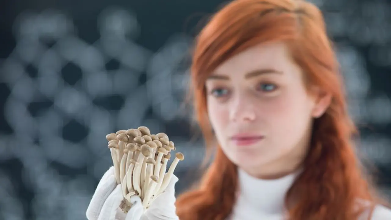Fakta di Balik Magic Mushroom