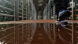 Pejalan kaki melintasi genangan air di JPO Medan Merdeka Barat, Jakarta, Jumat (19/1). Kondisi JPO yang penuh dengan genangan air dan atap yang rusak ini mengurangi kenyamanan bagi para pejalan kaki yang menggunakannya. (Liputan6.com/Johan Tallo)
