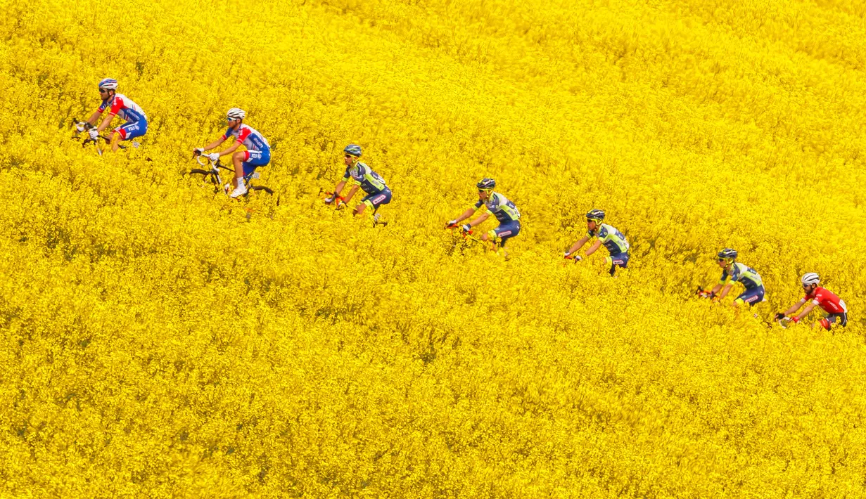 Sejumlah pembalap melintasi ladang rapeseed dengan hamparan bunga kuning saat mengikuti perlombaan Tour de Romandie UCI ProTour ke-72 di Bottens, Swiss (29/4). Dalam lomba ini Para pembalap harus menempuh jarak 181,8 km.(Valentin Flauraud/Keystone via AP)